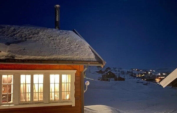 Ferienwohnung - Geilo, Ustaoset , Norwegen - N33555 84