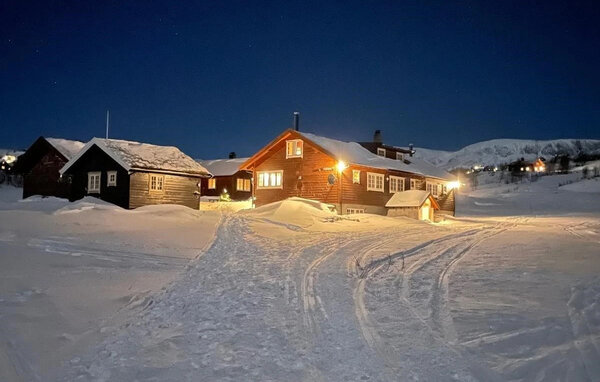 Ferienwohnung - Geilo, Ustaoset , Norwegen - N33555 85