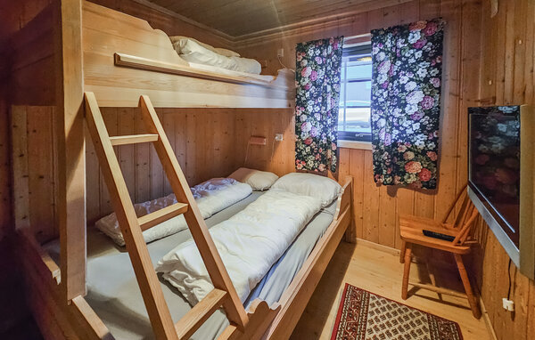 Feriehuse - Hemsedal , Norge - N33556 603