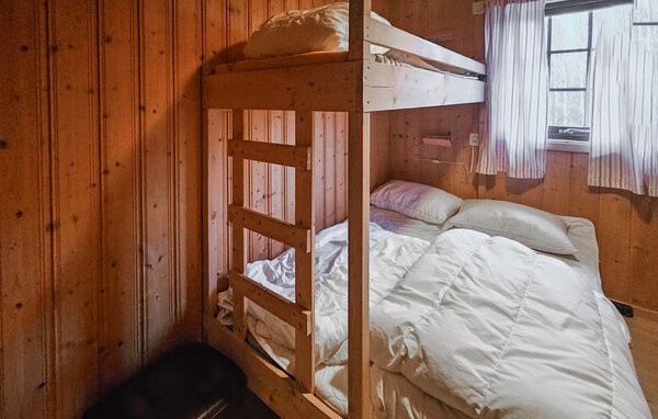 Feriehuse - Hemsedal , Norge - N33556 604