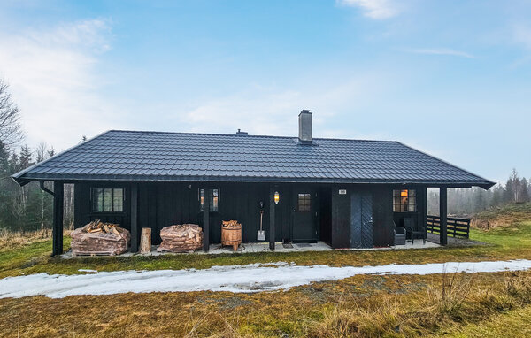 Feriehuse - Hemsedal , Norge - N33556 1