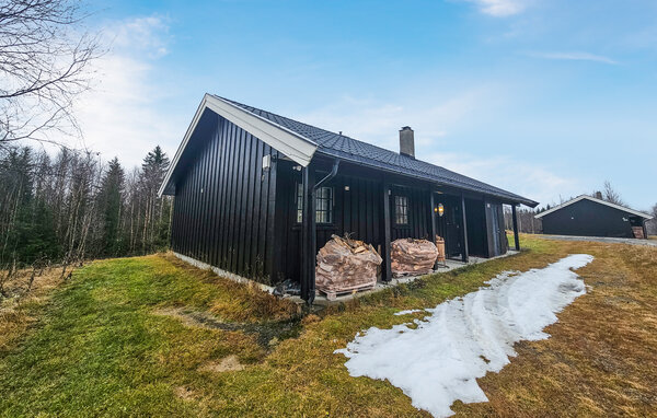 Feriehuse - Hemsedal , Norge - N33556 81