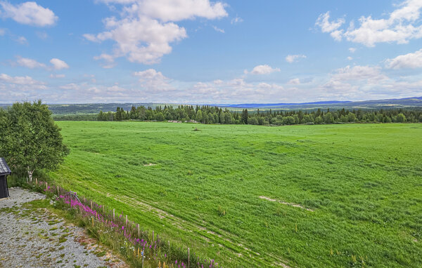 Ferienwohnung - Gol, Golsfjellet , Norwegen - N33557 8