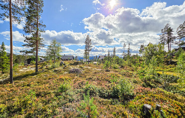Feriehus - Turufjell , Norge - N33560 902