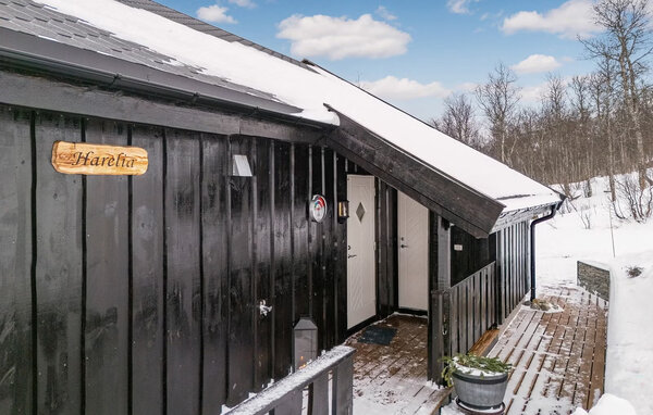 Ferienhaus - Hallingskarvet / Sudndalen , Norwegen - N33564 101