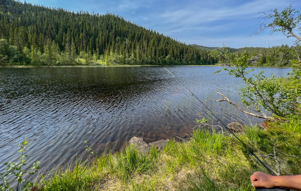 Domy wakacyjne - Eggedal / Vestfjell , Norwegia - N33567 901