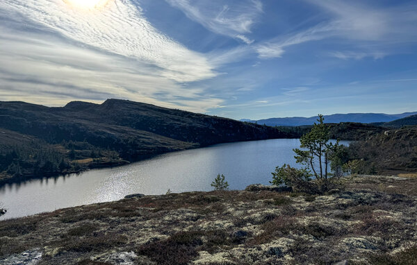 Domy wakacyjne - Eggedal / Vestfjell , Norwegia - N33567 904
