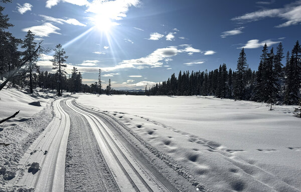 Domy wakacyjne - Eggedal / Vestfjell , Norwegia - N33567 905