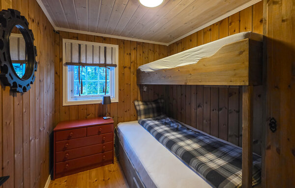 Domy wakacyjne - Eggedal / Vestfjell , Norwegia - N33567 603