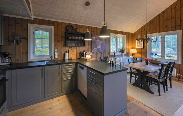 Domy wakacyjne - Eggedal / Vestfjell , Norwegia - N33567 7