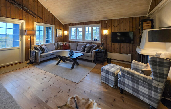 Domy wakacyjne - Eggedal / Vestfjell , Norwegia - N33567 3