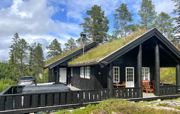 Domy wakacyjne - Eggedal / Vestfjell , Norwegia - N33567 1