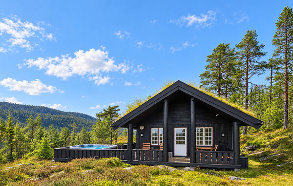 Domy wakacyjne - Eggedal / Vestfjell , Norwegia - N33567 82