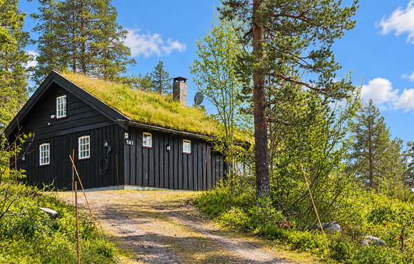 Domy wakacyjne - Eggedal / Vestfjell , Norwegia - N33567 83
