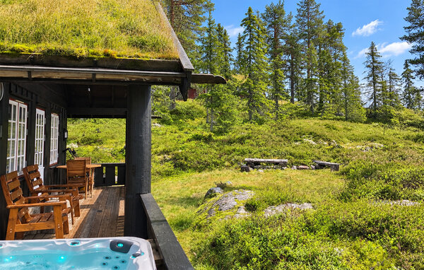 Domy wakacyjne - Eggedal / Vestfjell , Norwegia - N33567 101