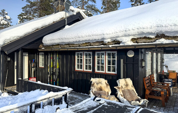 Domy wakacyjne - Eggedal / Vestfjell , Norwegia - N33567 9