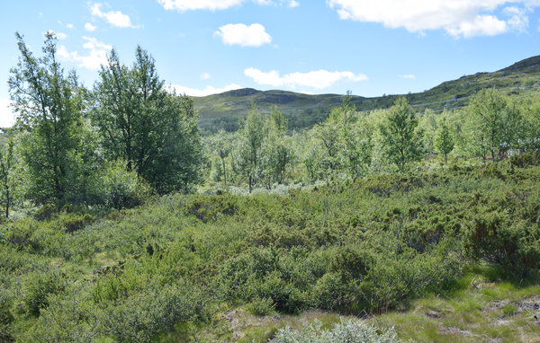 Feriehuse - Uvdal/Dagali , Norge - N33978 101
