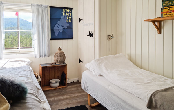 Holiday Home - Risdal , Norway - N34459 602
