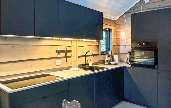 Holiday Home - Ljosland/Åseral , Norway - N34592 401