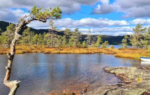 Ferienhaus - Fossdal/Åseral , Norwegen - N34679 903