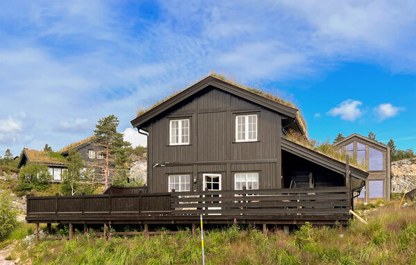 Casa vacanze - Bortelid/Åseral , Norvegia - N34696 1