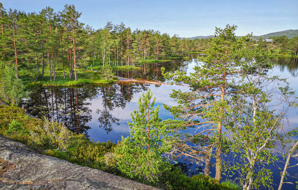 Ferienhaus - Oggevatn/Birkenes , Norwegen - N34733 906