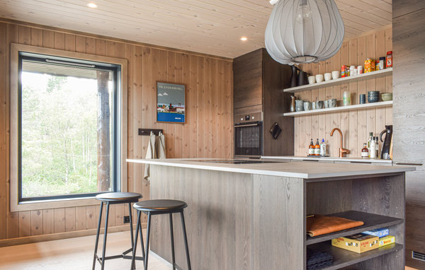 Ferienhaus - Oggevatn/Birkenes , Norwegen - N34733 6