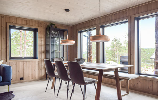 Ferienhaus - Oggevatn/Birkenes , Norwegen - N34733 3