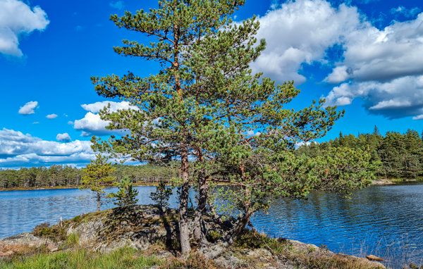 Semesterhus - Bjelland/Lindesnes , Norge - N34874 903