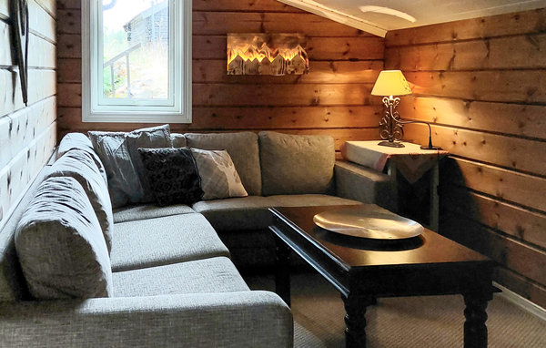 Casa vacanze - Brokke Rysstad , Norvegia - N34885 6