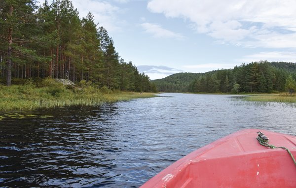Feriehus - Vegårshei , Norge - N34972 902