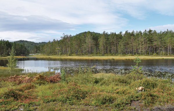 Feriehus - Vegårshei , Norge - N34972 201