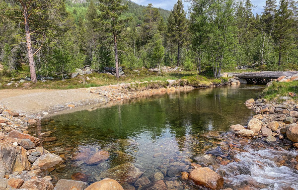 Ferienhaus - Hovden/Bykle , Norwegen - N34986 906