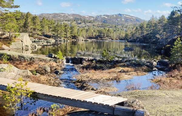 Kuća-za-odmor - Hillestadheia/Dølemo , Norveska - N34993 103
