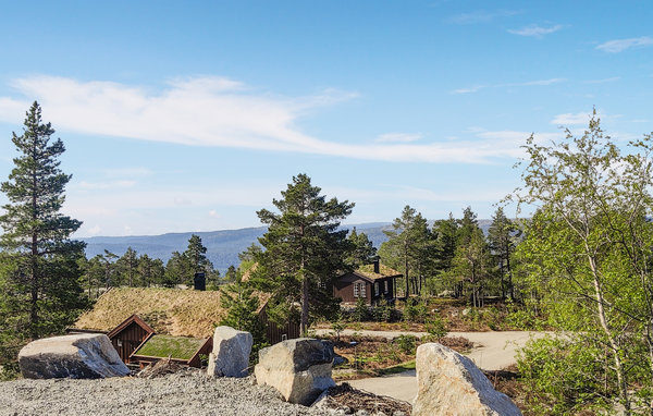 Kuća-za-odmor - Hillestadheia/Dølemo , Norveska - N34993 201