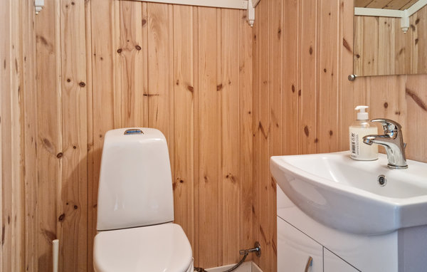 Ferienhaus - Hillestadheia/Dølemo , Norwegen - N34996 702