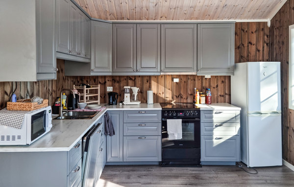 Ferienhaus - Hillestadheia/Dølemo , Norwegen - N34996 6