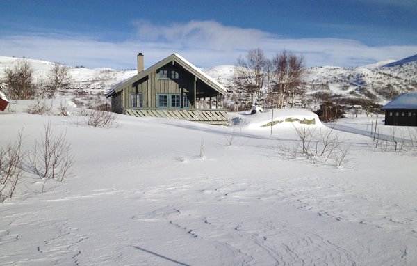 Casa vacanze - Haukelifjell/Vågslid , Norvegia - N35161 9999