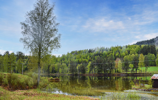 Casa vacanze - Flåbygd , Norvegia - N35426 902