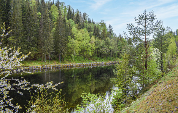 Casa vacanze - Flåbygd , Norvegia - N35426 903