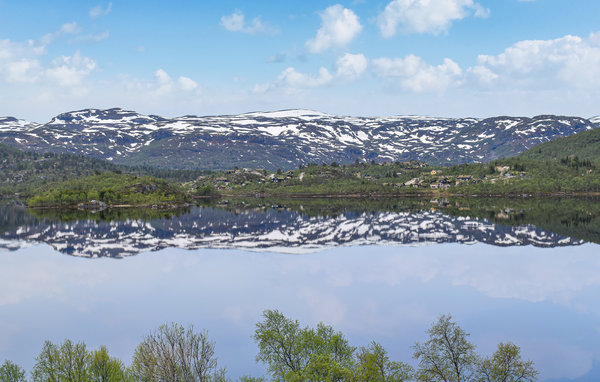 Ferienwohnung - Haukelifjell , Norwegen - N35427 1