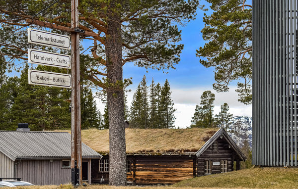 Feriehuse - Rauland , Norge - N35439 908