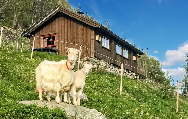 Feriehuse - Rauland , Norge - N35439 3