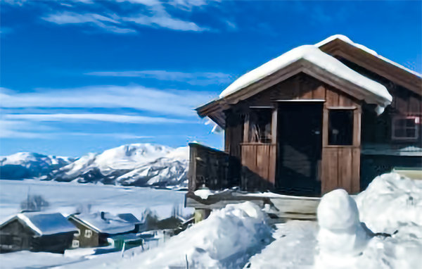 Feriehuse - Rauland , Norge - N35439 102