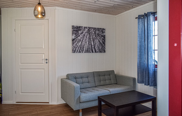 Kuća-za-odmor - Rauland , Norveska - N35447 504