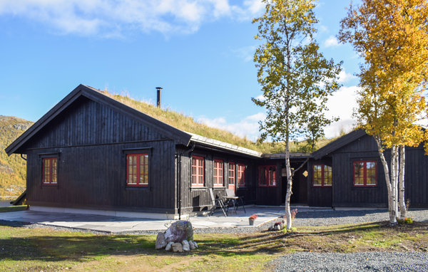 Kuća-za-odmor - Rauland , Norveska - N35447 81