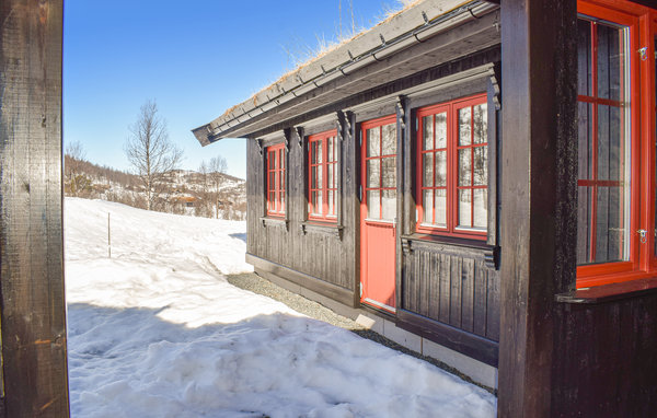 Kuća-za-odmor - Rauland , Norveska - N35447 3