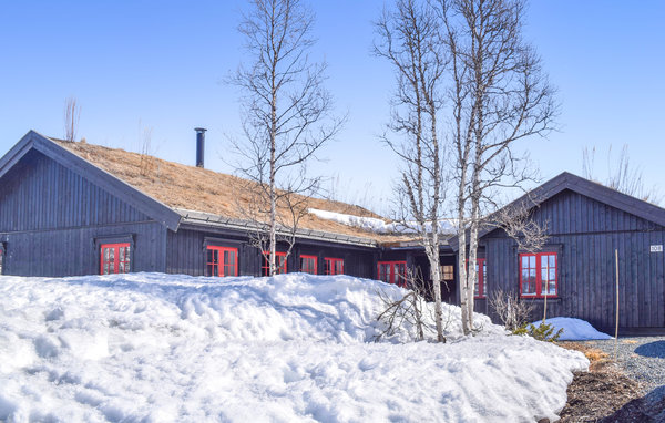 Kuća-za-odmor - Rauland , Norveska - N35447 7
