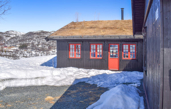 Kuća-za-odmor - Rauland , Norveska - N35447 8
