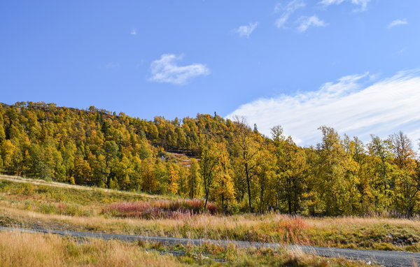Kuća-za-odmor - Rauland , Norveska - N35447 9